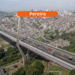 pereira