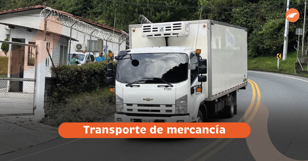 mercancia