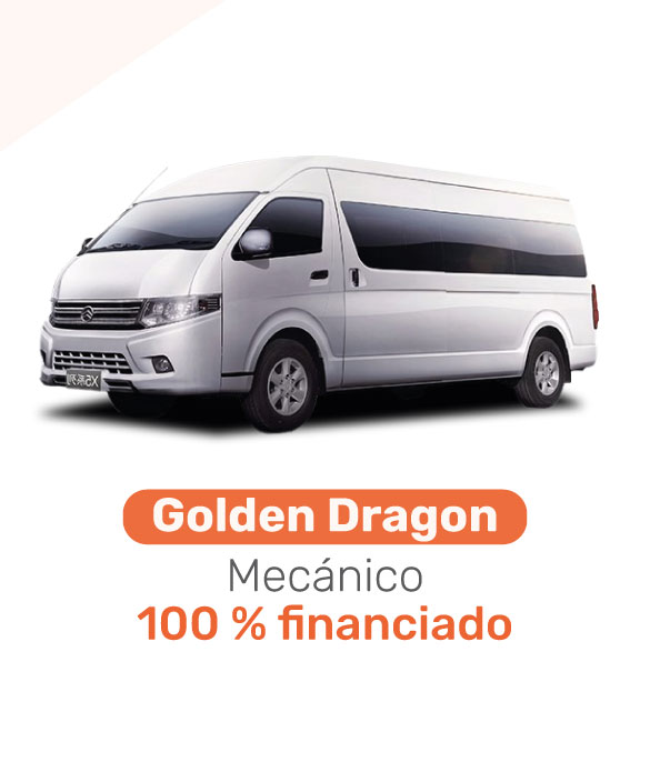 Microbus Golden Dragon