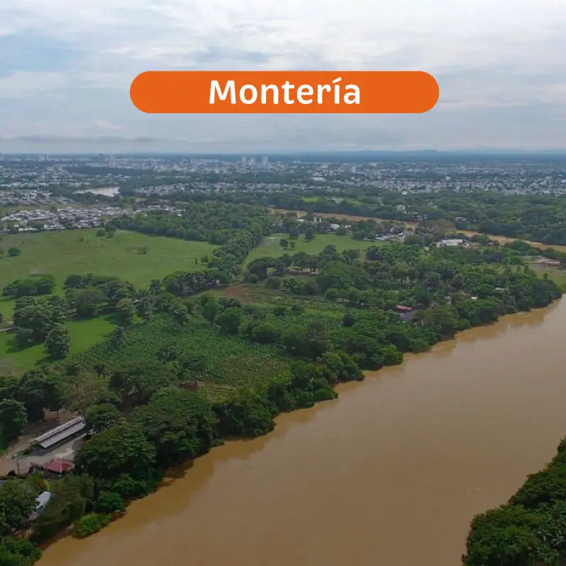 monteria