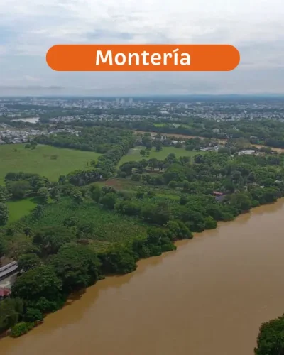 monteria