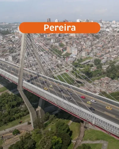 pereira